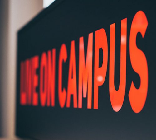 Myths and truths about university life