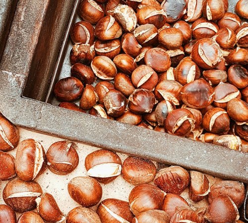 Gastronomía otoñal en Barcelona